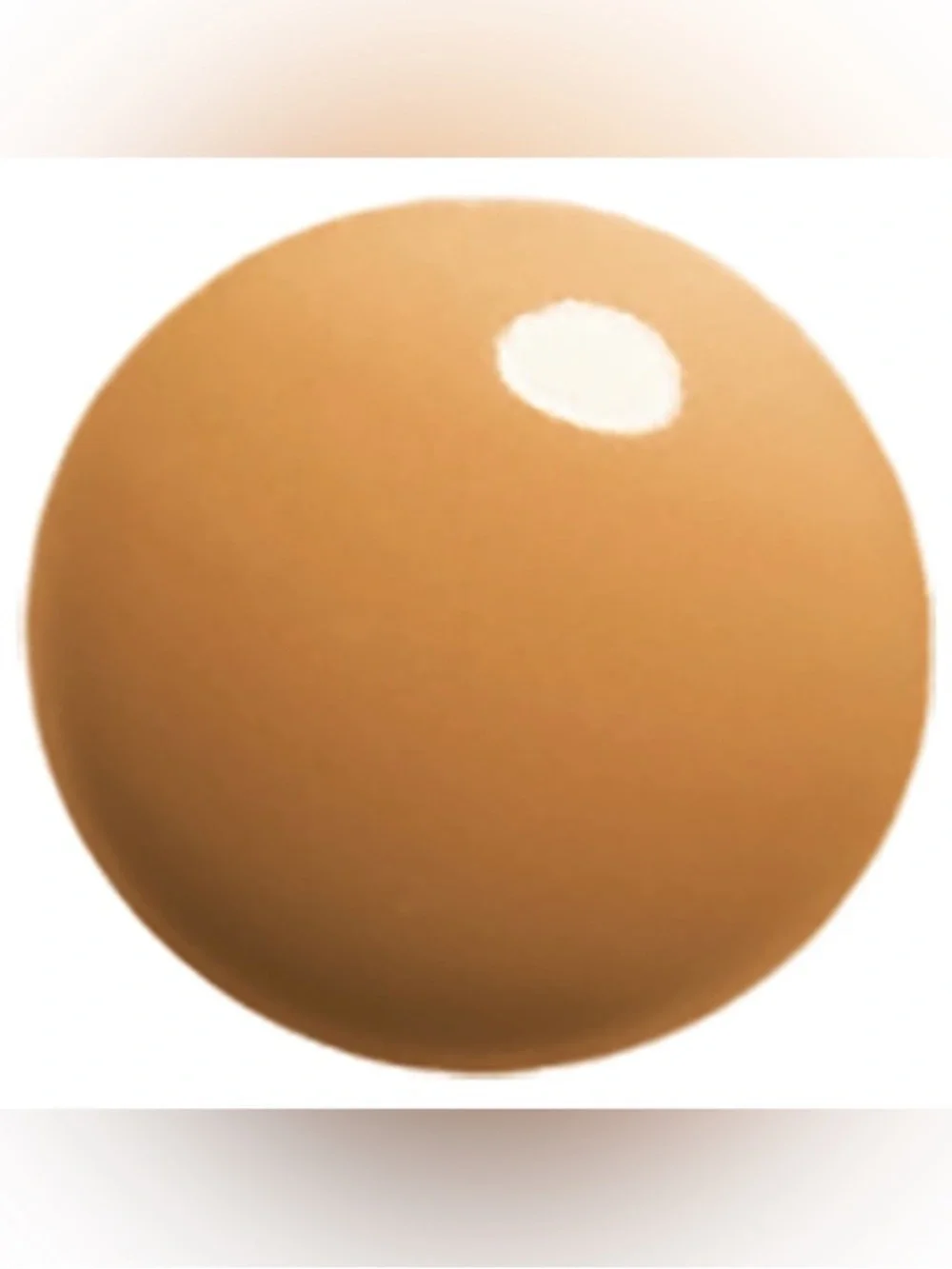 LOreal true match